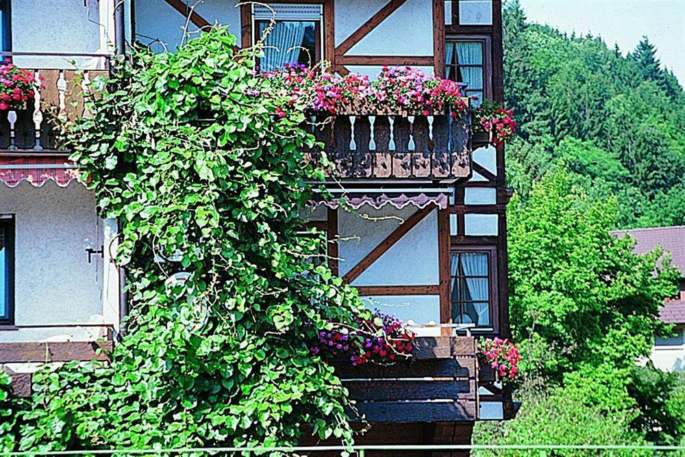Hotel Hirsch Bad Peterstal-Griesbach Eksteriør bilde