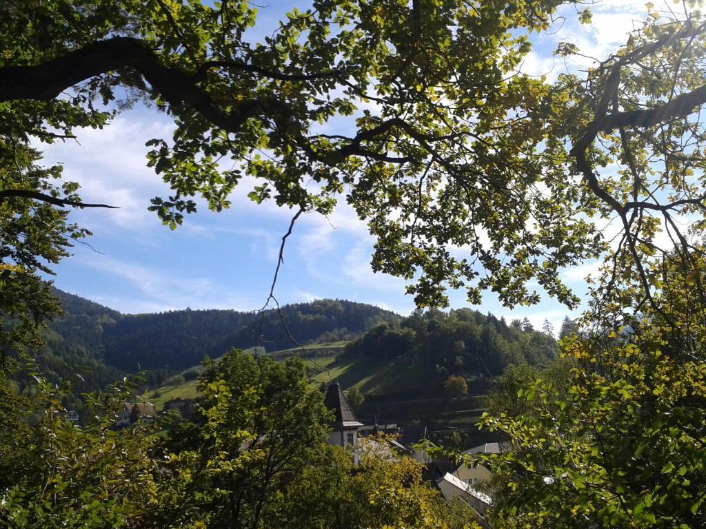 Hotel Hirsch Bad Peterstal-Griesbach Eksteriør bilde